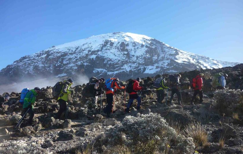 Kilimanjaro Machame Route (7 Days)
