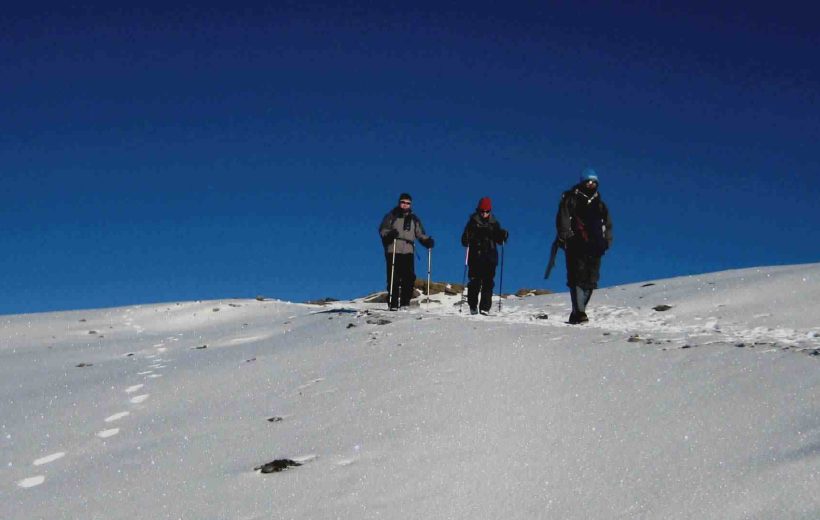 Kilimanjaro Shira Route (6 Days)