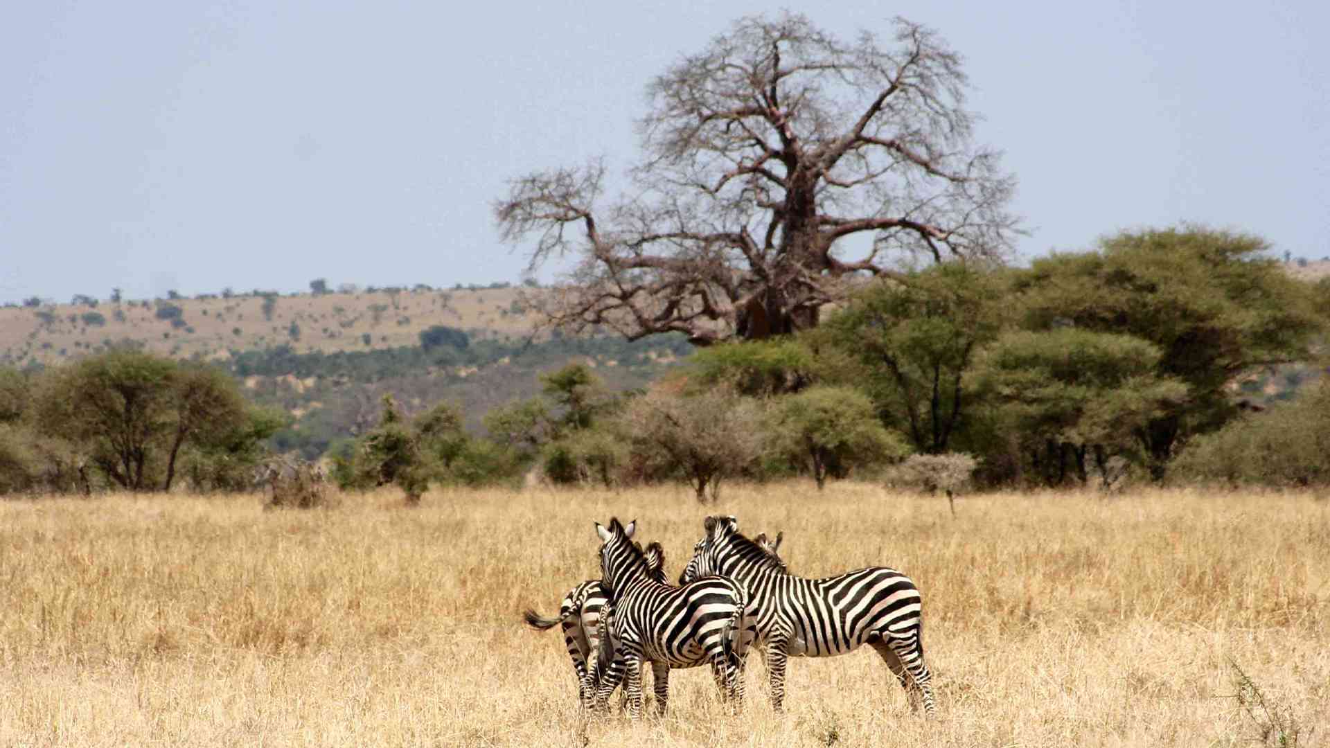 Tanzania Travel Safety Tips