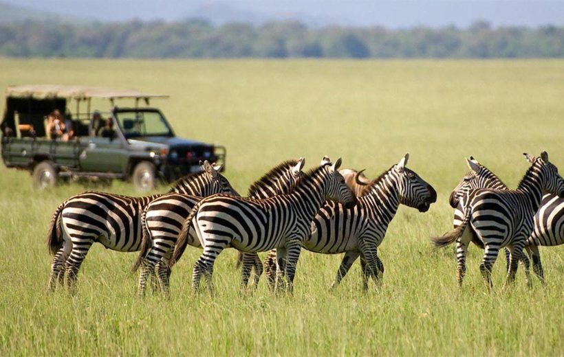 5 Days Great Migration Safari