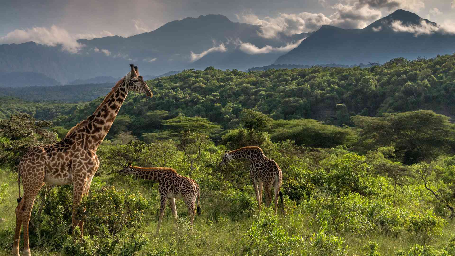 Tanzania Travel Safety Tips