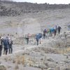 Kilimanjaro Local Guiding Services