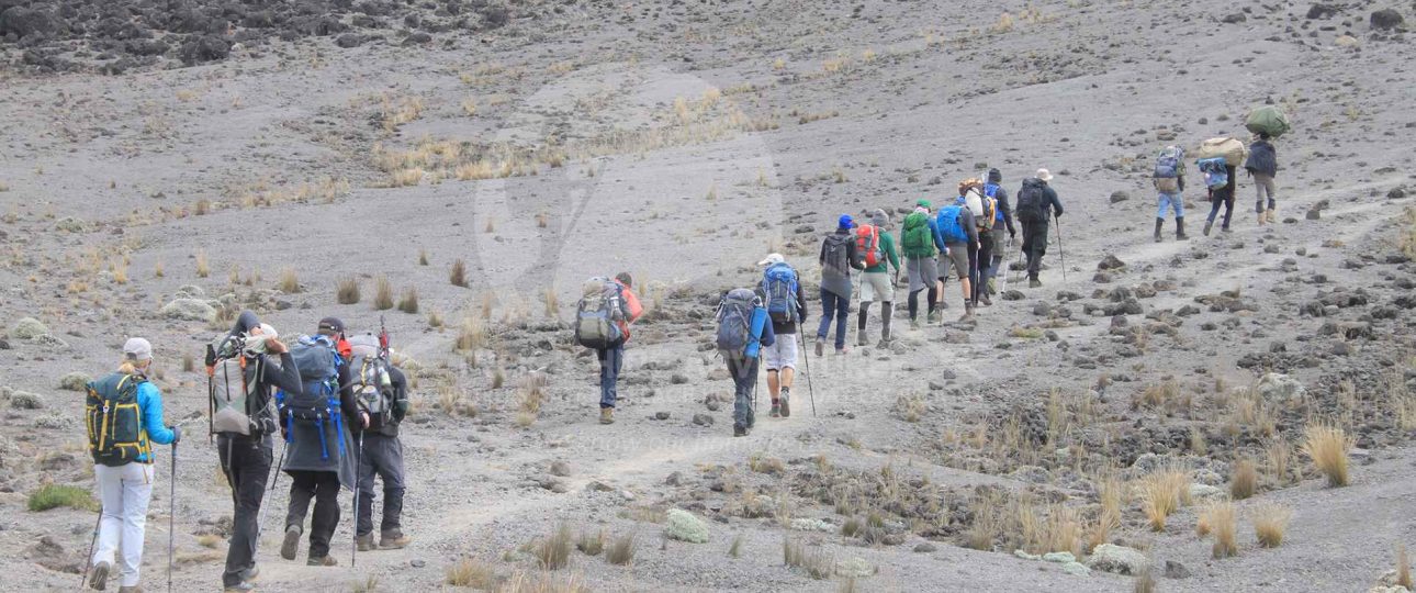 Kilimanjaro Local Guiding Services