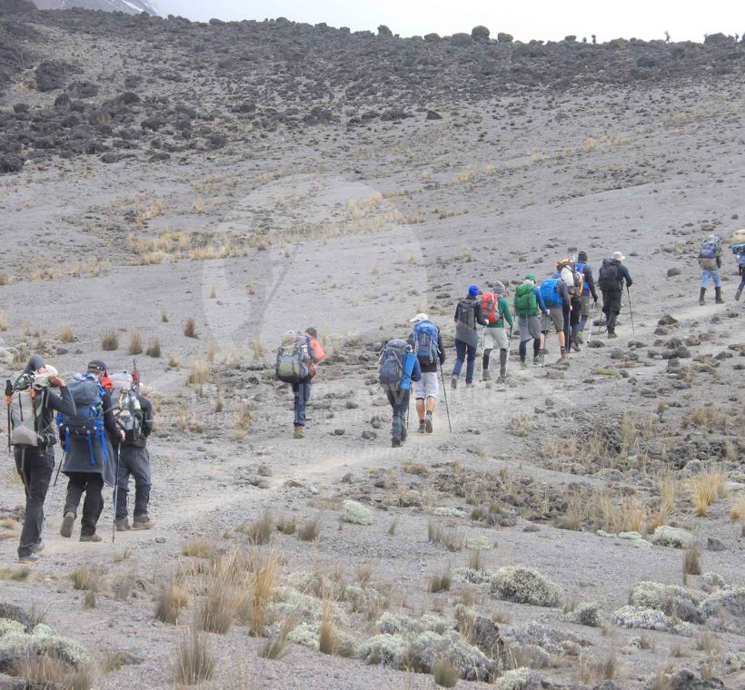 Kilimanjaro Local Guiding Services