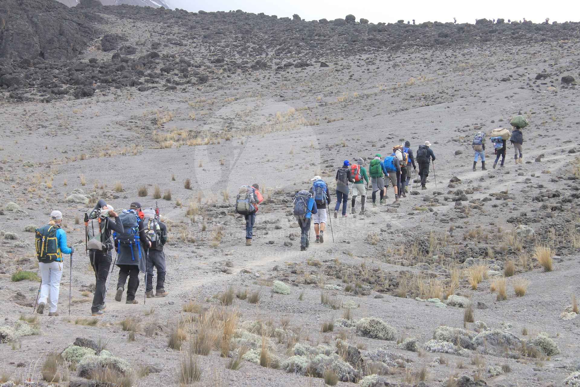 Kilimanjaro Local Guiding Services