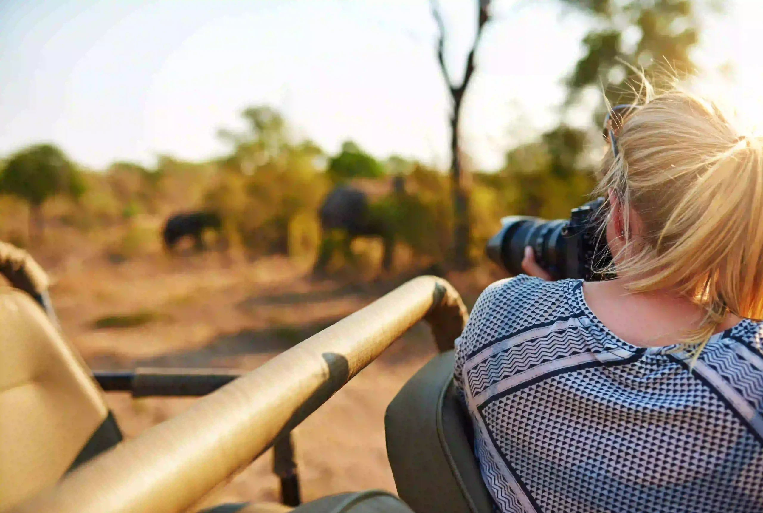 Tanzania Safari Cost