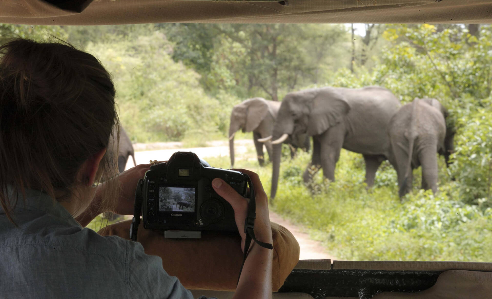 Tanzania Solo Travel Tips