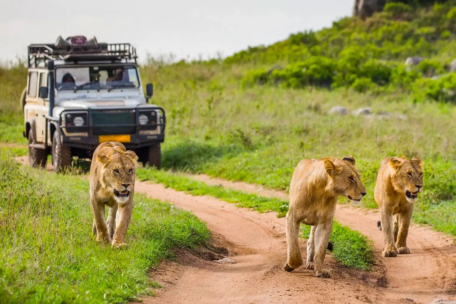 Tanzania Travel Safety Tips