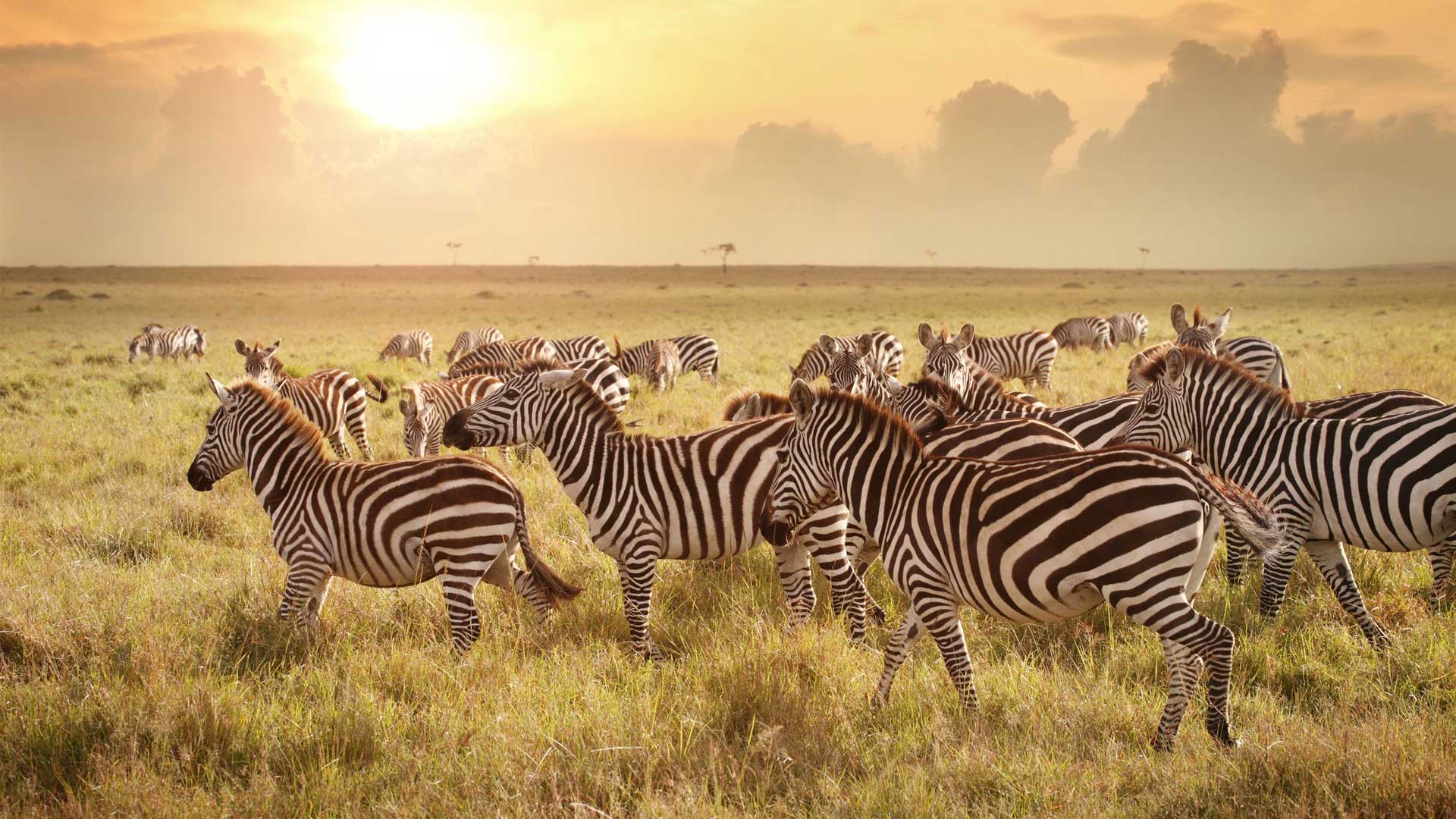 Tanzania Weather and Climate