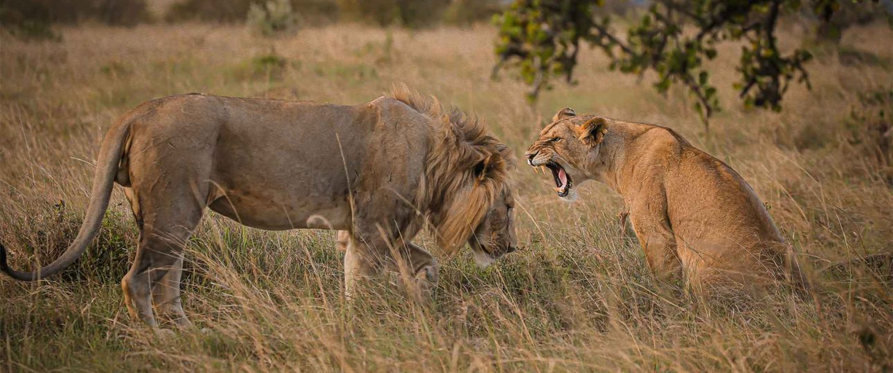 Ideal Tanzania Safari Duration
