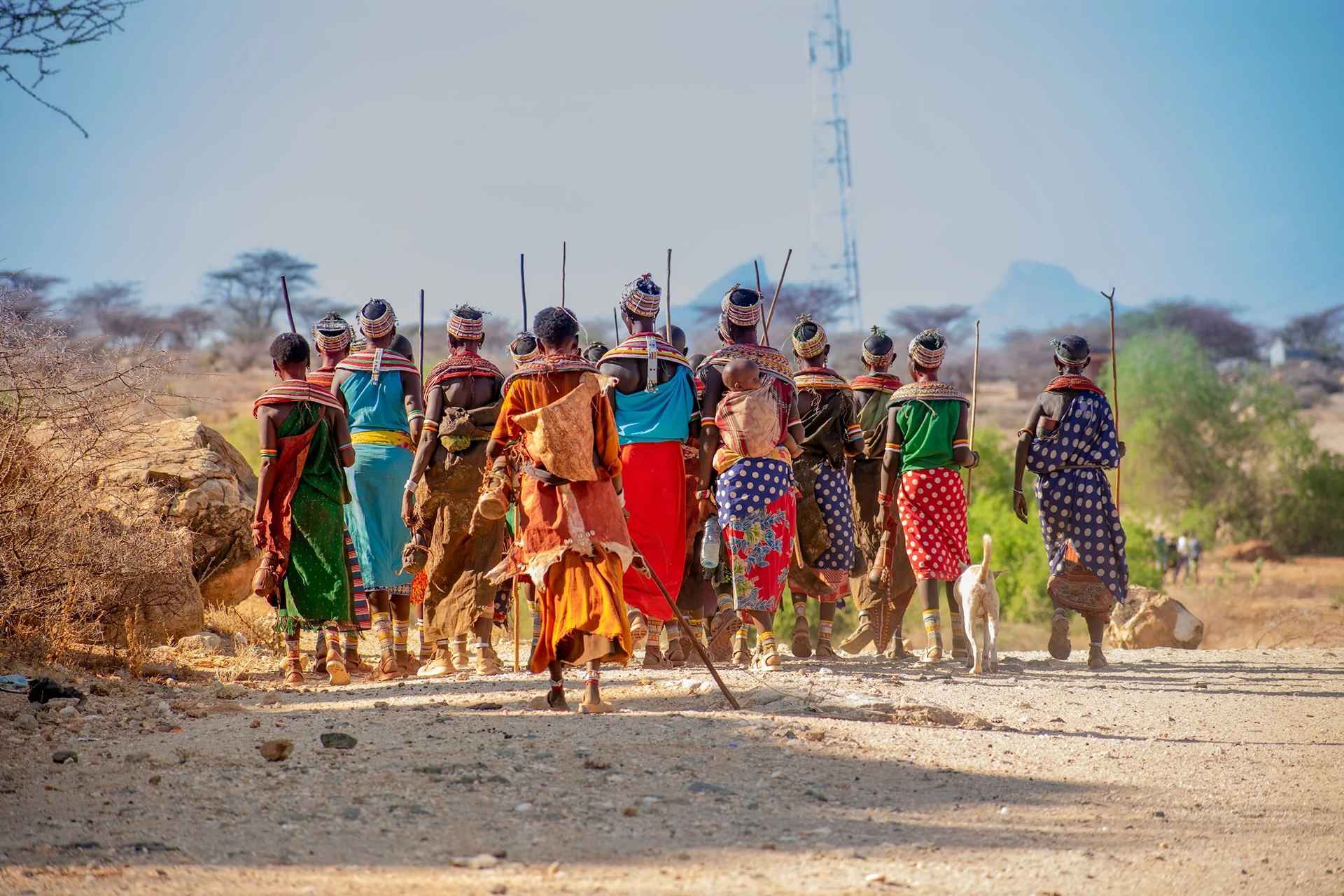 Tanzania Safari Safety Guidelines