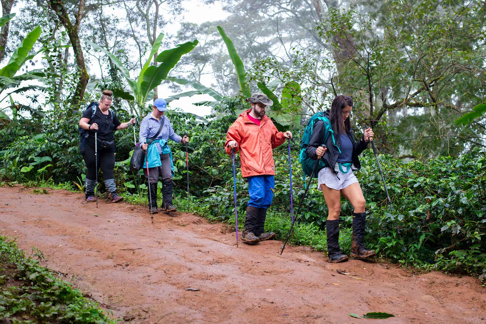Kilimanjaro Training Programme