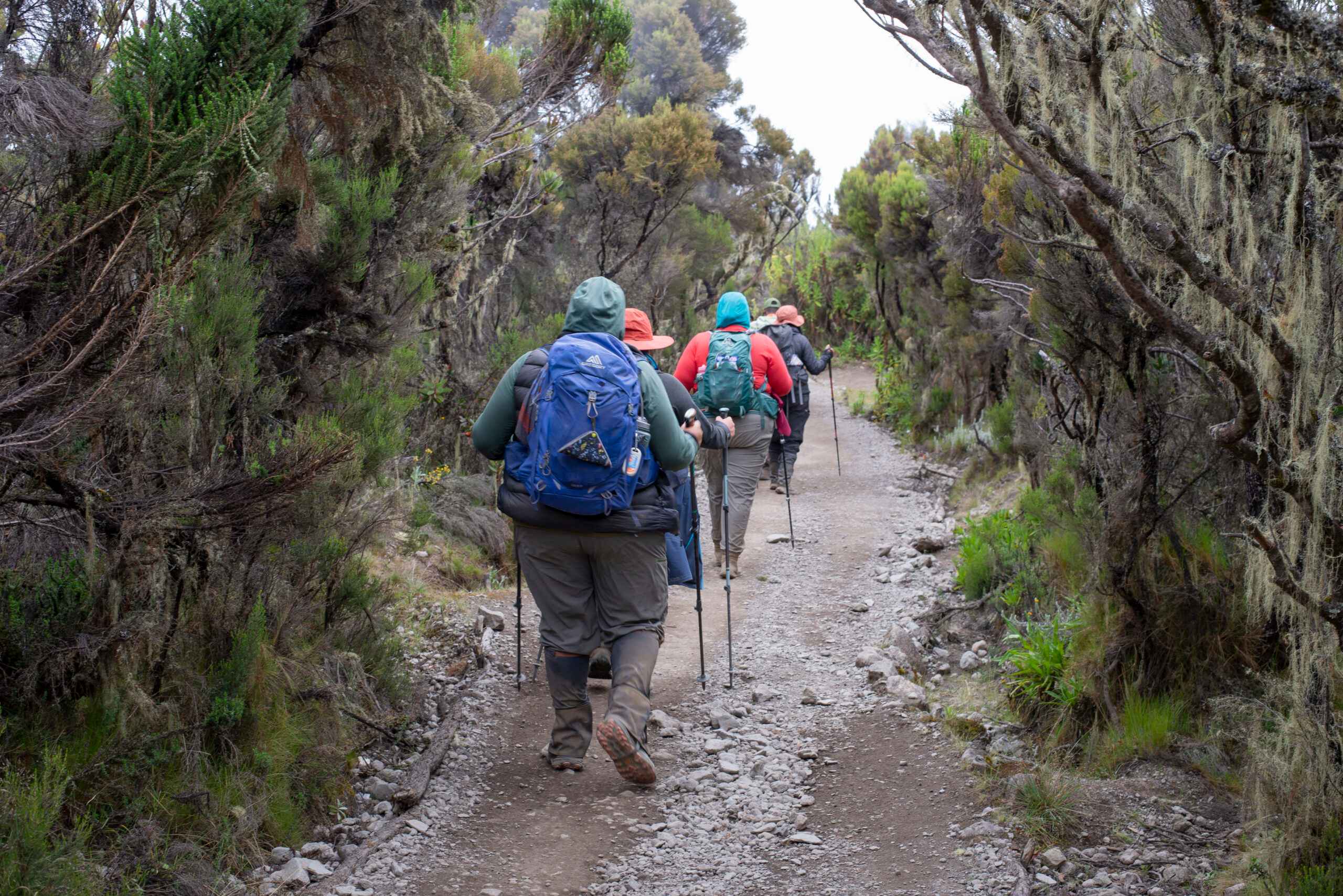 Kilimanjaro Training Programme