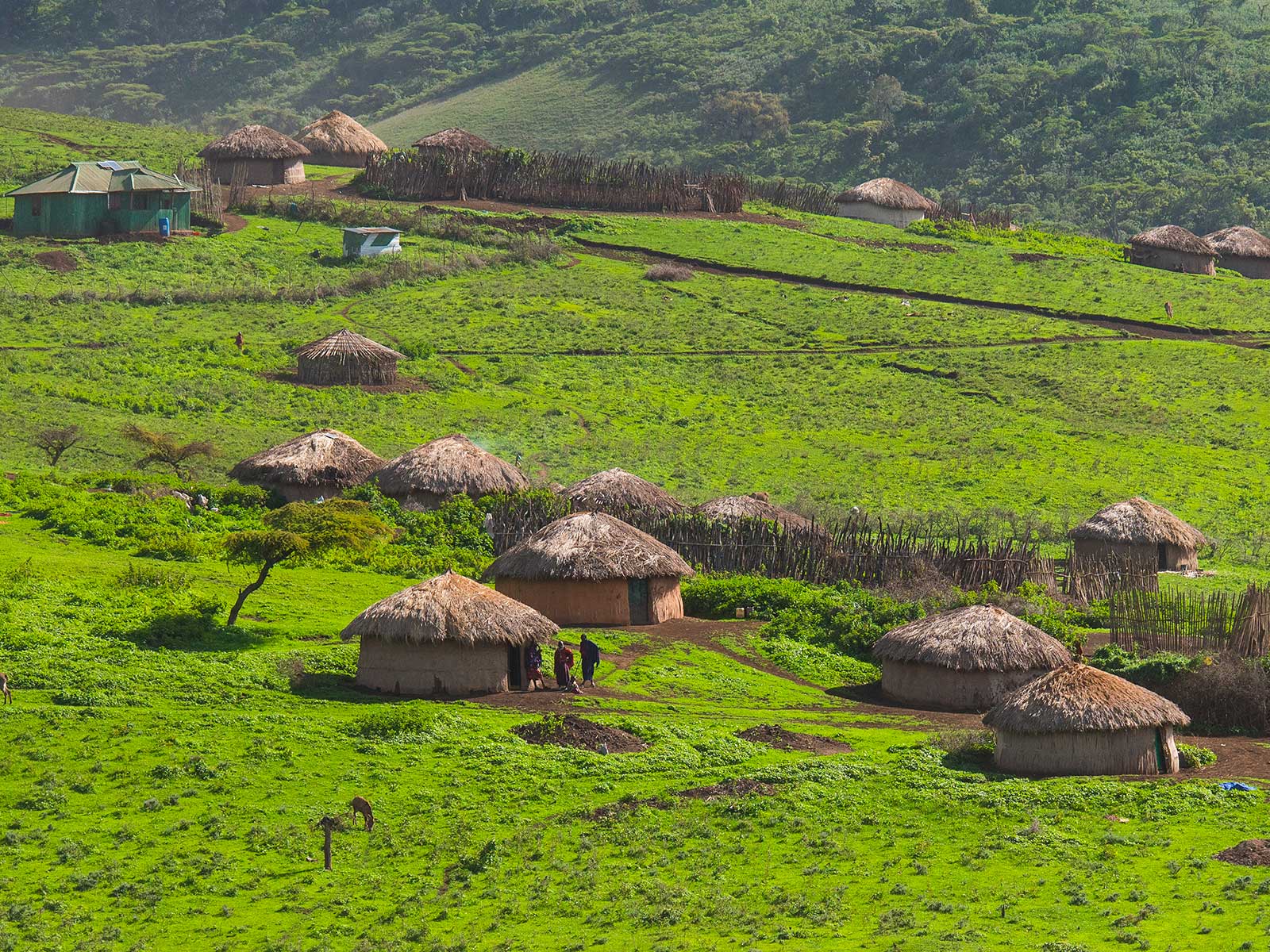 Tanzania Cultural Tours