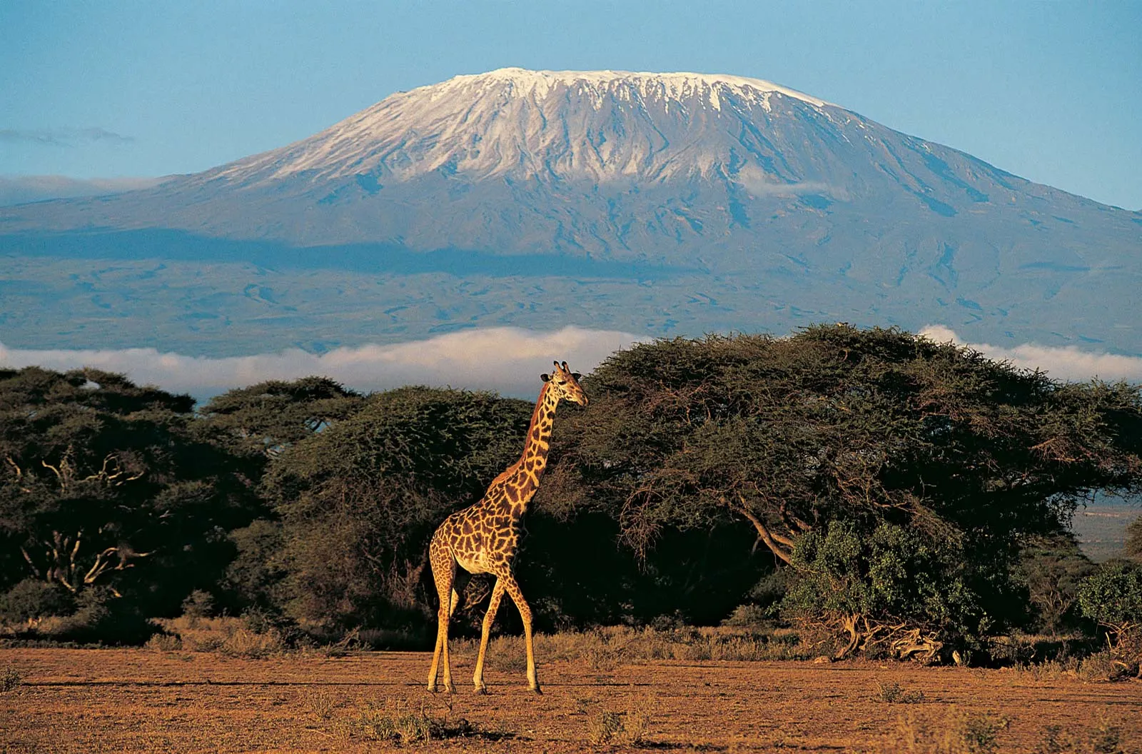 Where Is Mount Kilimanjaro Located