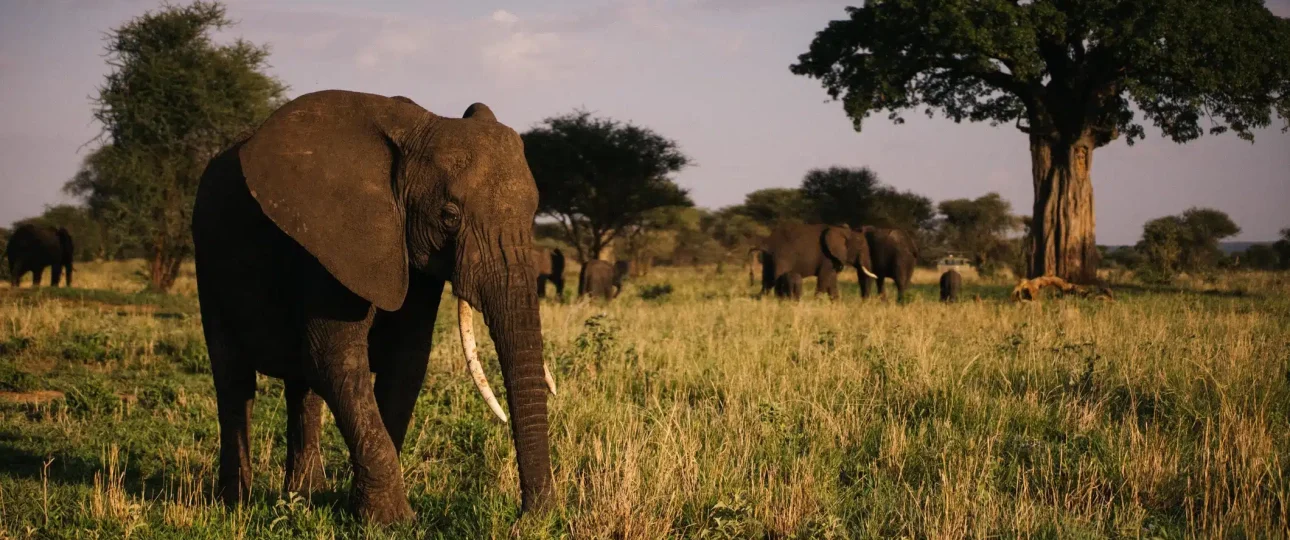 Responsible Tourism in Tanzania
