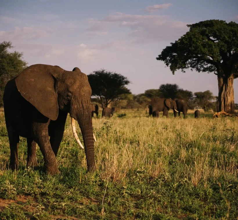 Responsible Tourism in Tanzania