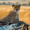Tanzania Safari Safety Guidelines