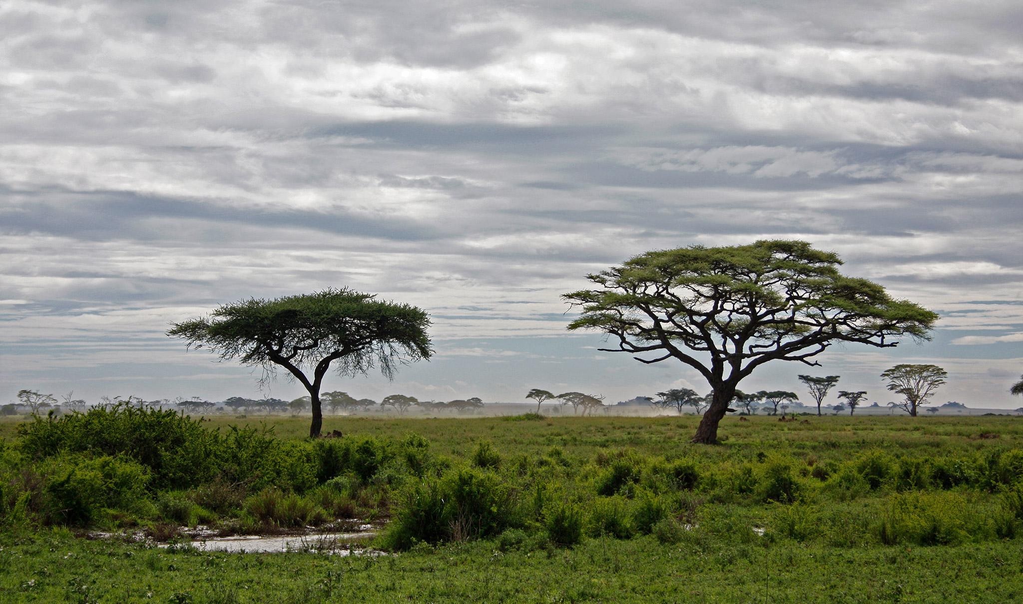 Tanzania Weather and Climate