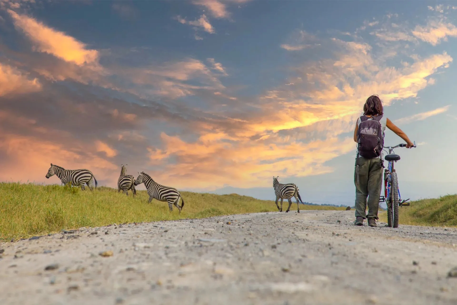 Mkomazi National Park Safari Guide