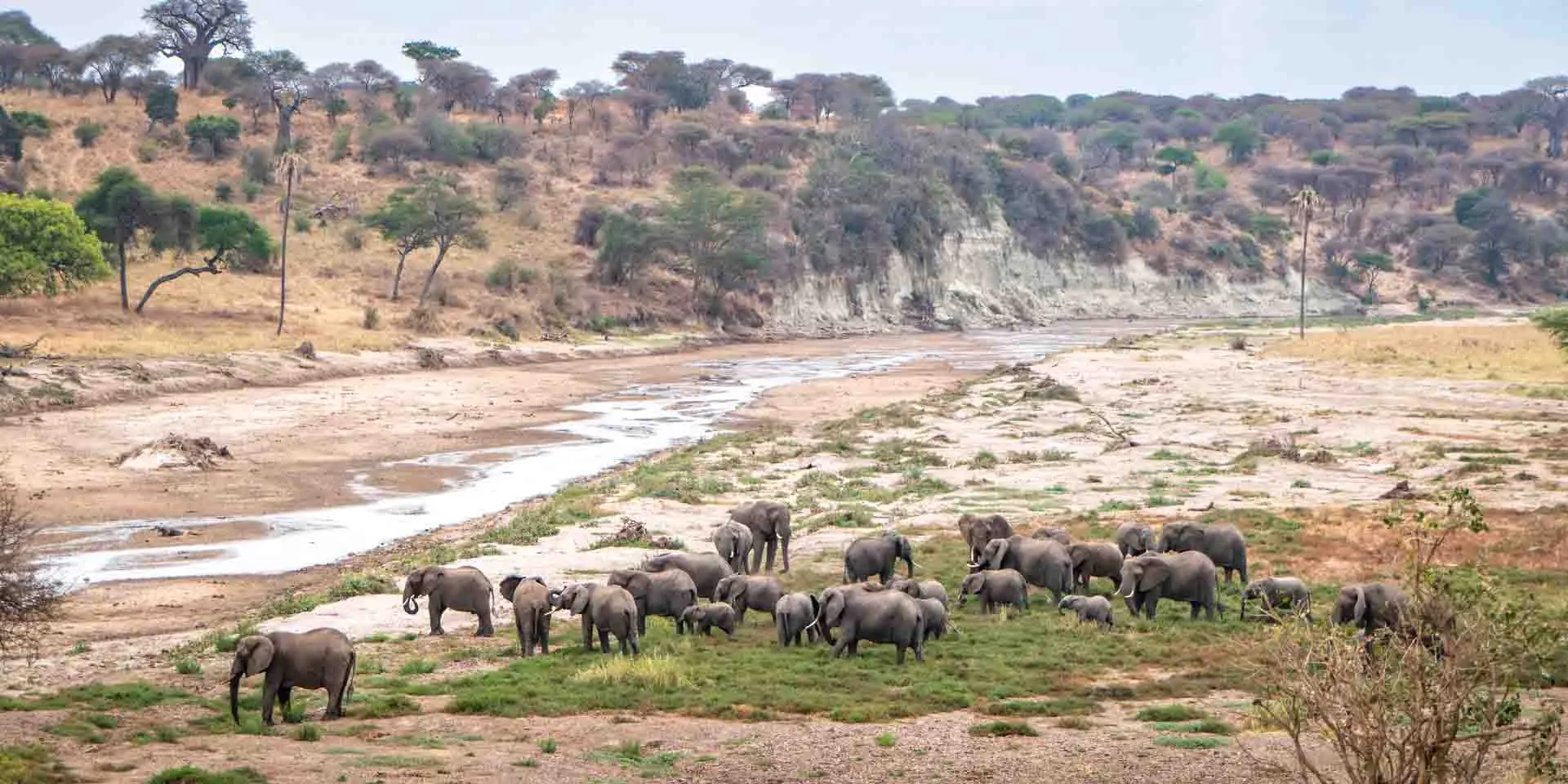 Ideal Tanzania Safari Duration