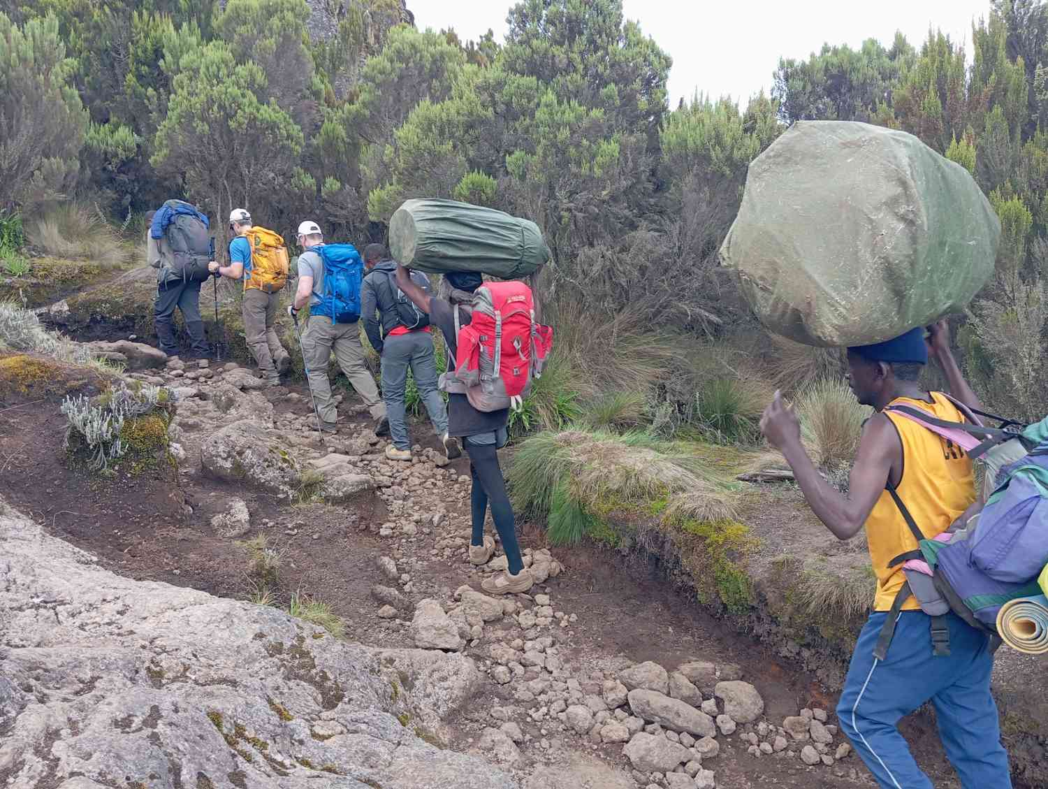 Can You Climb Kilimanjaro Without a Guide