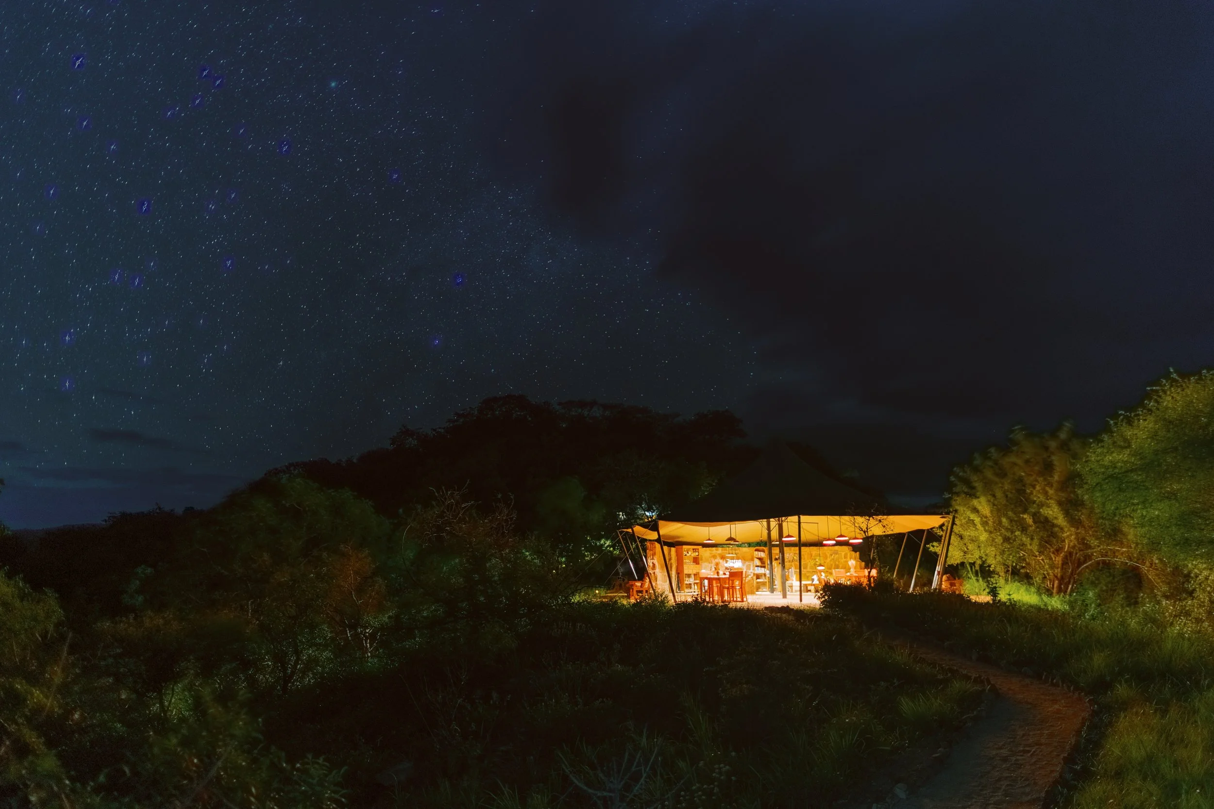 Mkomazi National Park Safari Guide