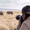 Tanzania Photographic Safari Guide