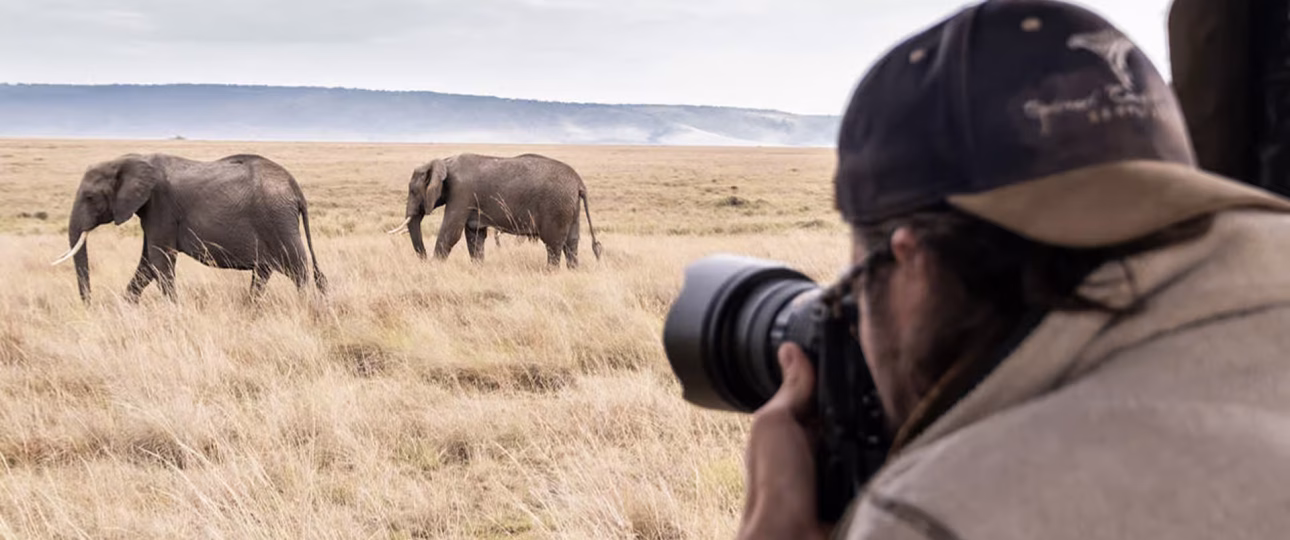Tanzania Photographic Safari Guide