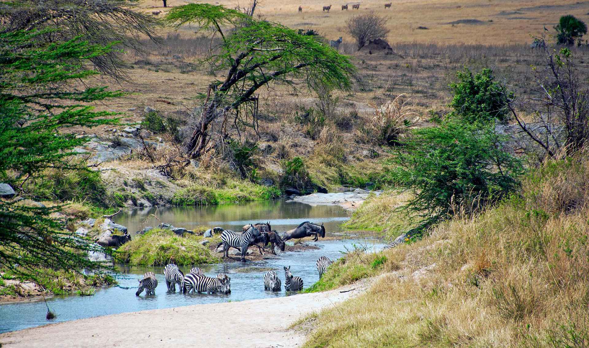 Tanzania Weather and Climate