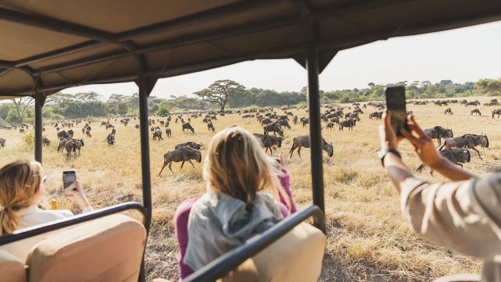 Tanzania Photographic Safari Guide