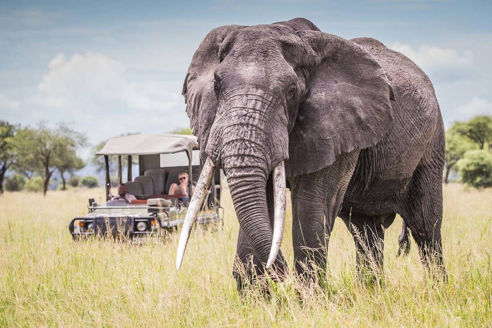 Ideal Tanzania Safari Duration