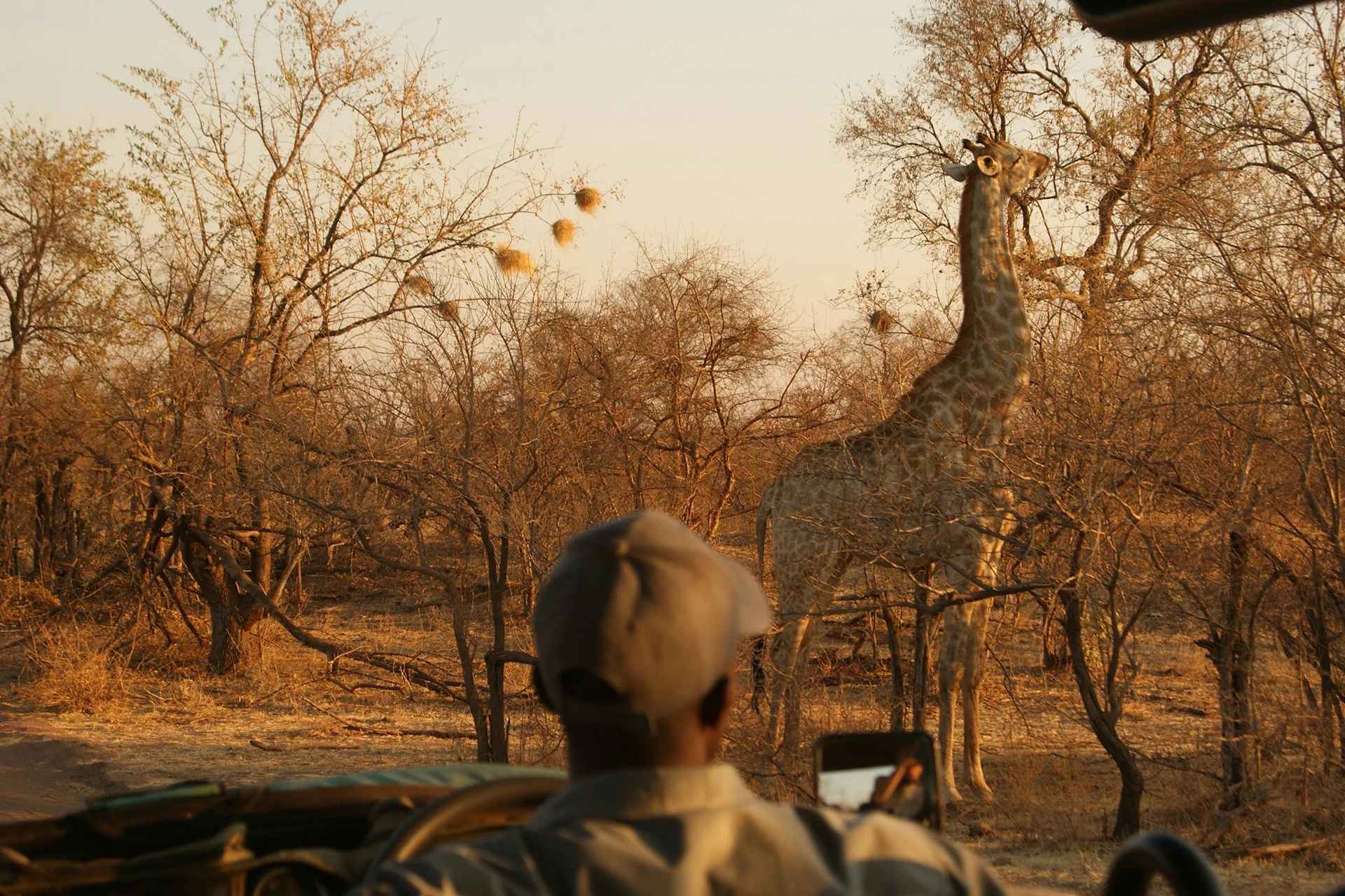 Complete Tipping Guide for Tanzania