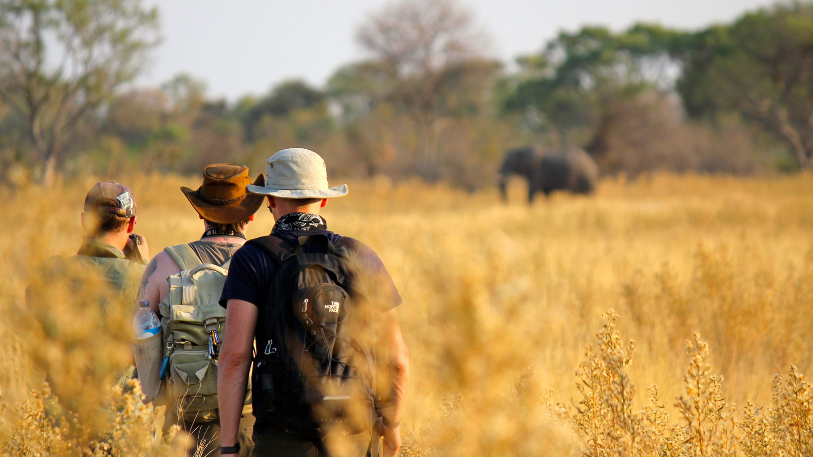 Tanzania Safari Safety Guidelines