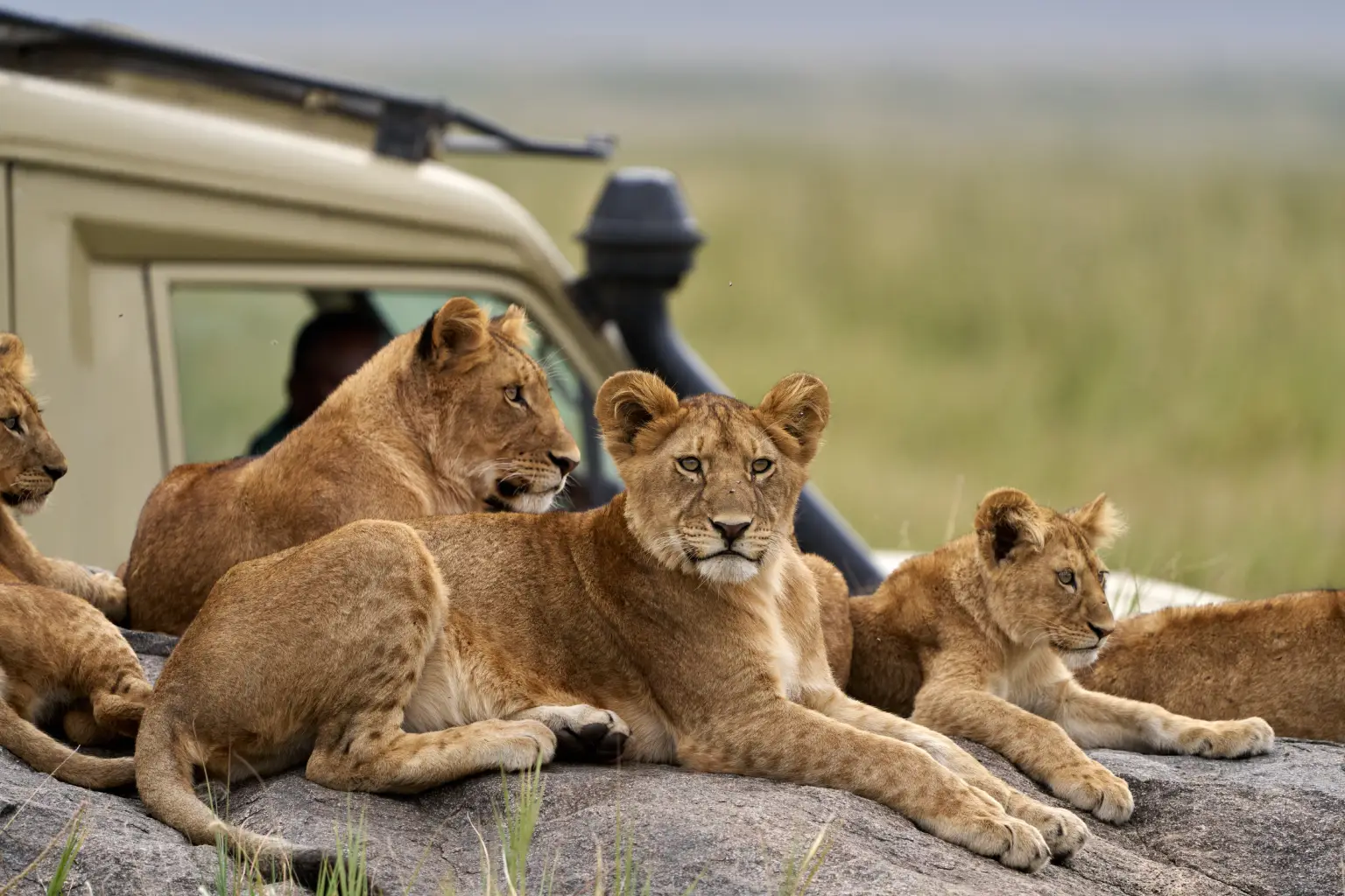 Tanzania Safari Safety Guidelines