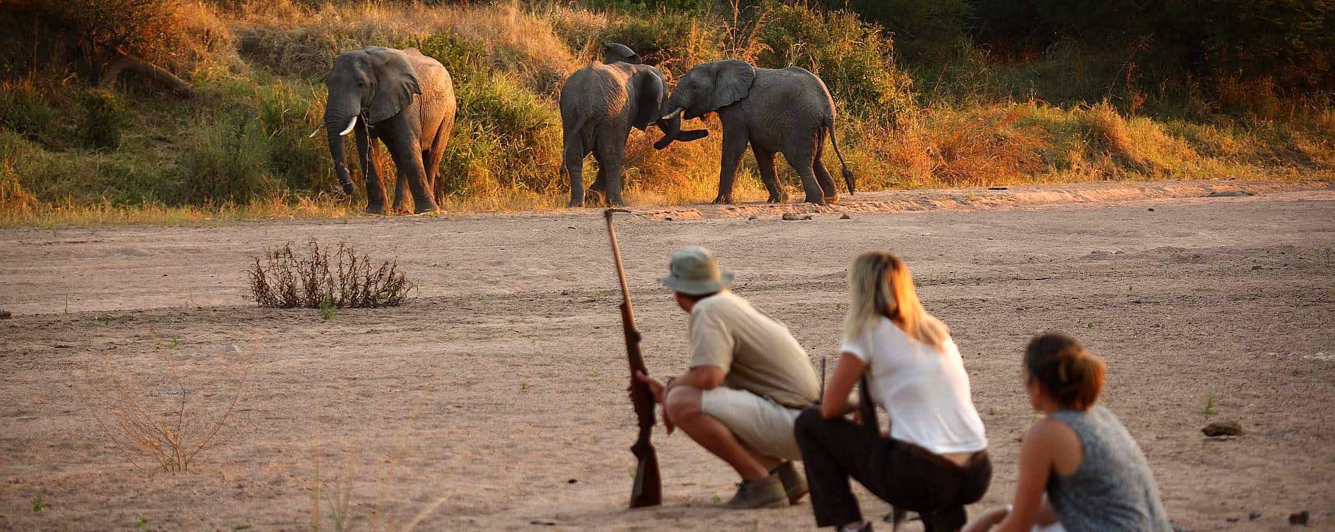 Tanzania Safari Safety Guidelines