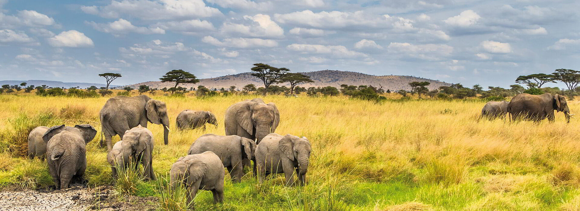 Tanzania Weather and Climate